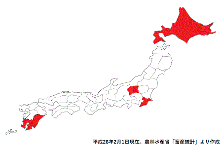 地理の正しい勉強法_豚