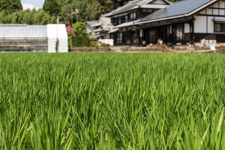 地域社会