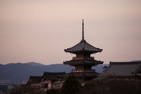 条例